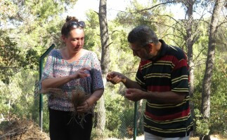 Basket weaving in the middle of the forest