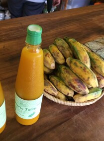 Botanical Walk and Jamu Crash Course
