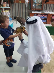 All About Falcon Activity