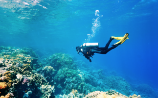 Scuba Diving: Explore Qatar from under the Water