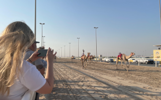 Experience the Qatari Camel Racing Heritage