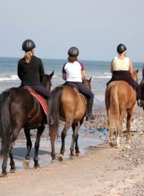Arabian Horse Back Riding