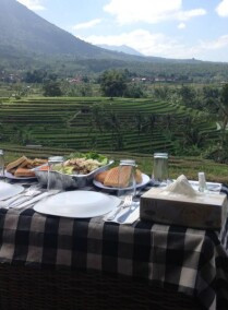 Batukaru Temple and Jatiluwih Picnic Lunch