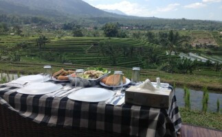 Batukaru Temple and Jatiluwih Picnic Lunch