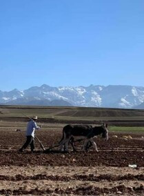 AGAFAY Desert and Atlas Mountains Day Trip from Marrakech with Camel Ride