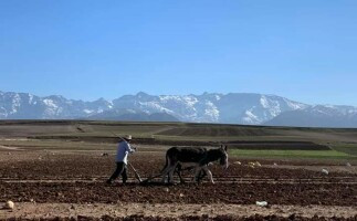 AGAFAY Desert and Atlas Mountains Day Trip from Marrakech with Camel Ride