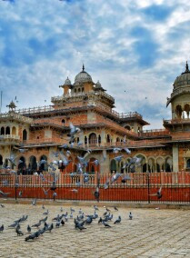 Explore the Royal Fort and Palaces of Jaipur in a Private Exclusive City Tour