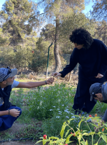Tea, Food and Music in Dibben Forest Jerash
