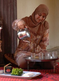 Ourika Valley and Atlas Mountains Day Trip from Marrakech