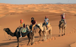 Marrakech to Merzouga Sahara Desert Tour (Shared)
