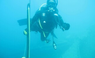 Diving, Fishing, and Relaxing at Shraoh Island