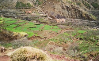 Trekking & Overnight in a Berber Village: 2 Days