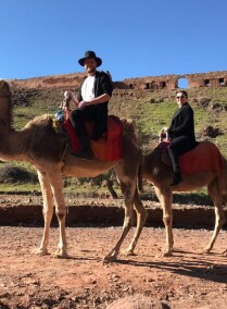 Day Trip To the Atlas Mountain & Camel Ride