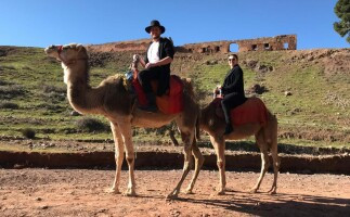Day Trip To the Atlas Mountain & Camel Ride