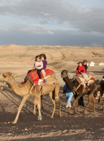 Agafay Desert Sunset Camel Ride