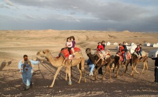 Agafay Desert Sunset Camel Ride