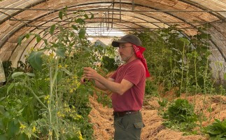 Permaculture Farmer for a Day at Carob Farm