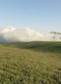 Wild Frontiers of Iran in Three Amazing National Parks