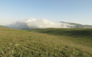 Wild Frontiers of Iran in Three Amazing National Parks