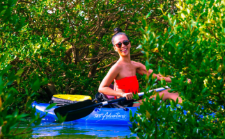 Al Majfar Mangroves - Kayaking/Stand Up Paddling Tour