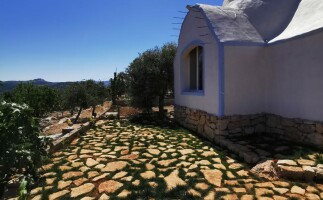 Resort Stay Embraced by Nature in Ajloun