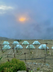 Camping In The Farm | AlSoudah