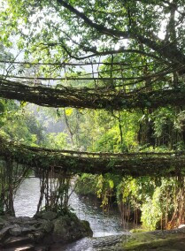 Memorable Journey of Assam - Culture & Wildlife