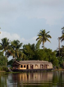 The Virgin Forest of Kerala Tour