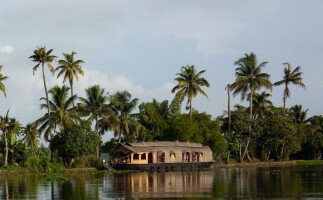 The Virgin Forest of Kerala Tour