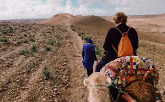 Best of Marrakech: Agafay Desert and Atlas Mountains with Camel Riding