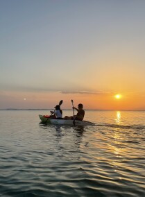 Explore the Mangroves at Purple Island on a Kayak
