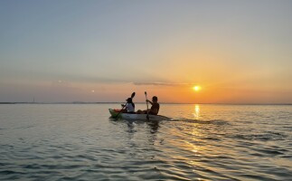 Explore the Mangroves at Purple Island on a Kayak