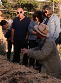 Natural Farming & Local Gastronomy at Carob Farm