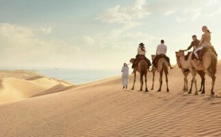 Exploring Qatar's Desert