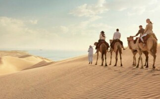 Exploring Qatar's Desert