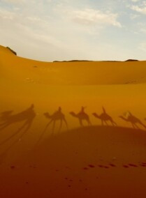 4-Day Private Tour From Marrakech to Desert & Fes