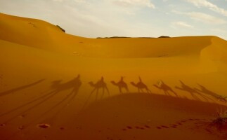 4-Day Private Tour From Marrakech to Desert & Fes