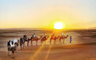 Shared 2-Day Zagora Desert Tour from Marrakech