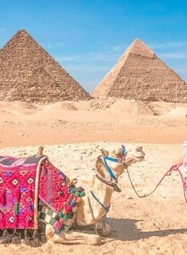 Day Tour to Giza Pyramids with Camel Ride and Egyptian Museum in Cairo