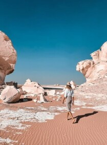 Day Tour to the White Desert and Bahariya Oasis
