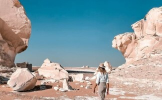 Day Tour to the White Desert and Bahariya Oasis