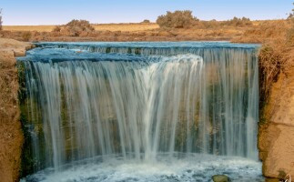 El Fayoum Full Day Tour Bird Watching