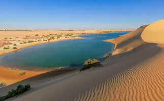 Day Tour to El Fayoum from Cairo