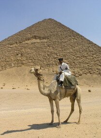 Tour to the Newest Saqqara Tombs and Having Lunch in a Farm With Locals