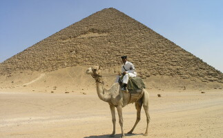 Tour to the Newest Saqqara Tombs and Having Lunch in a Farm With Locals