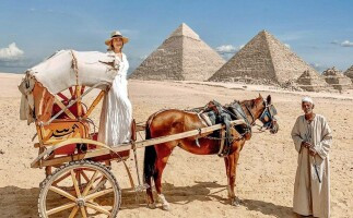 Half Day Tour to Giza Pyramids by Horse Carriage