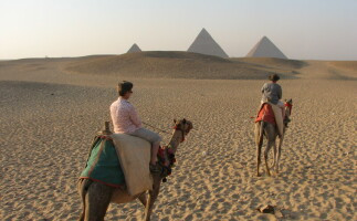 Camel Ride or Horse Around the Pyramids