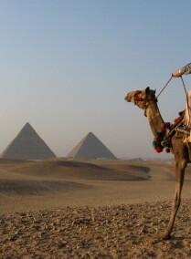 Overnight to Cairo from Aswan by VIP First Class Train
