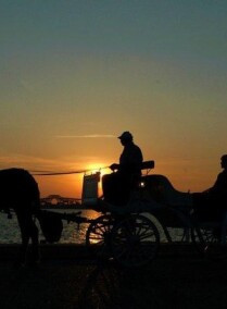 Aswan City Tour by Horse Carriage
