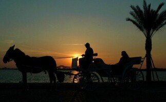 Aswan City Tour by Horse Carriage